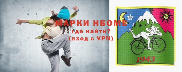 сатива Каменка