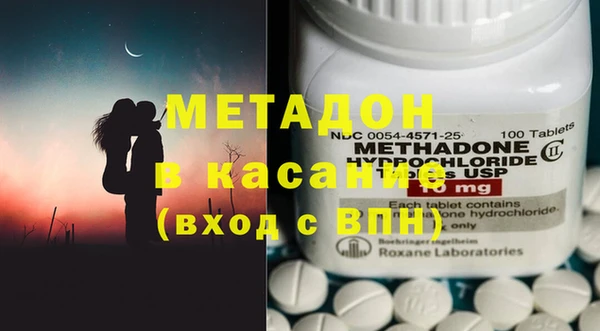 сатива Каменка