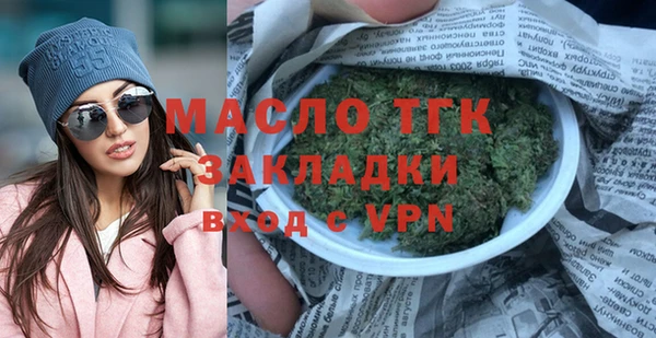 сатива Каменка
