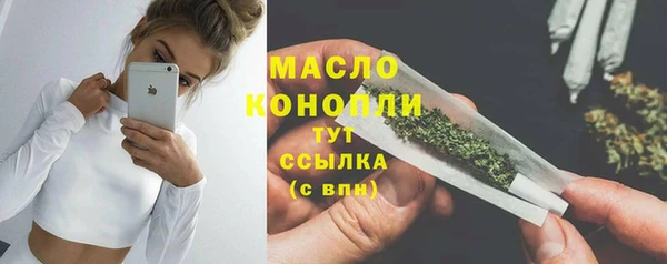 сатива Каменка