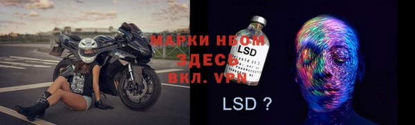 сатива Каменка