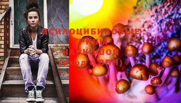 мескалин Каменногорск