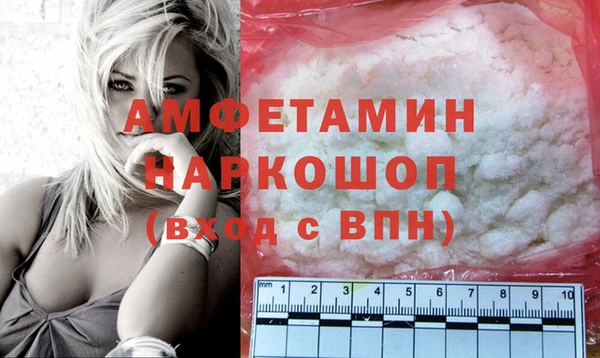 сатива Каменка