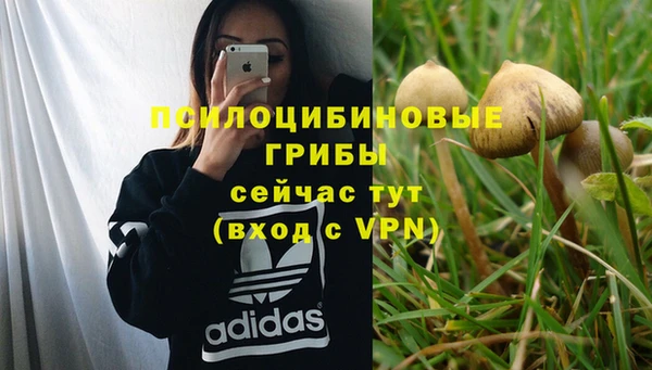 мескалин Каменногорск