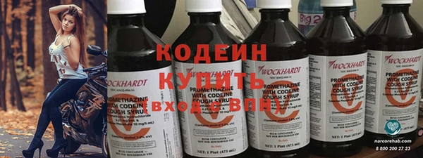 сатива Каменка