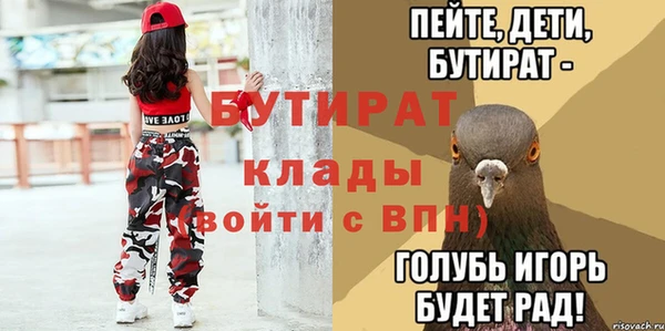 сатива Каменка