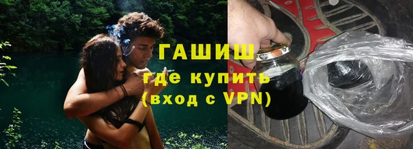 сатива Каменка