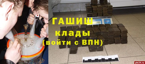 сатива Каменка