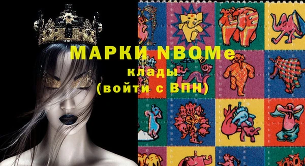 сатива Каменка