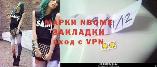 сатива Каменка
