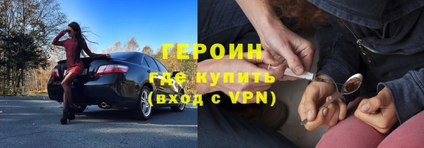 сатива Каменка