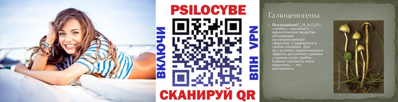 Псилоцибиновые грибы мухоморы Купить Избербаш